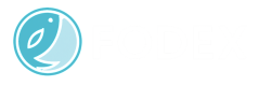 FODEX BİLİŞİM